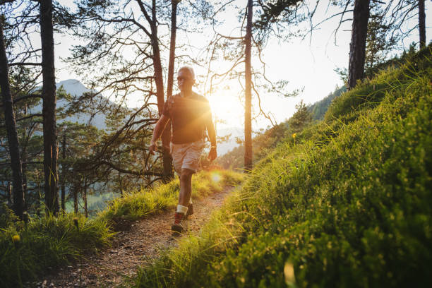 istock Senior man trail hiking in a mountain forest 687519874