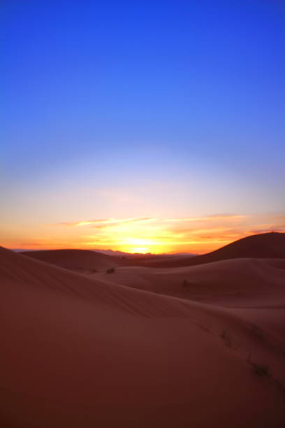 istock Beautiful sunset on the desert in Morocco 687523354