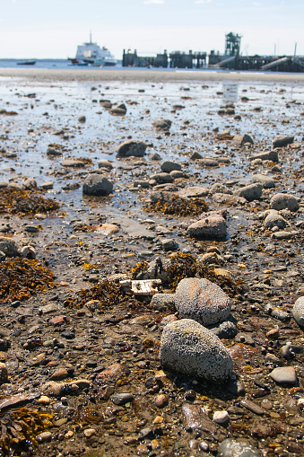 Rocky Shoreline at Lincolnville Beach in Lincolnville, Maine.