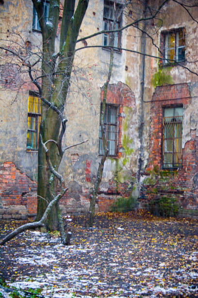 istock Old wall of the house with windows, peeling plaster, inside the brick is visible 687533578