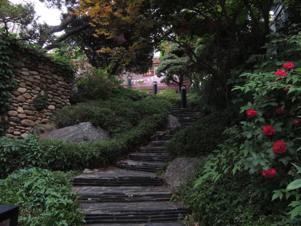 istock Stairs to a Magical Place 687535710