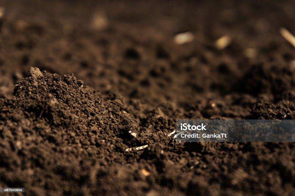 Closeup de un campo arado, suelo fértil, negro. - Foto de stock de Tierra libre de derechos