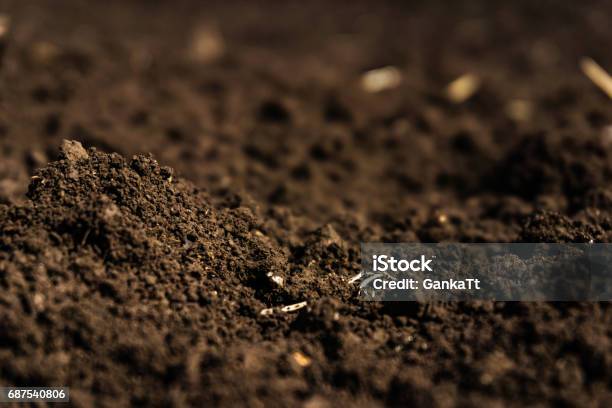 Closeup Of A Plowed Field Fertile Black Soil Stock Photo - Download Image Now - Dirt, Land, Dirty