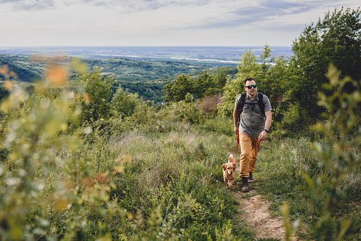 Man with a dog walking along a hiking trail on the mountain
