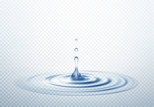 realistyczne przezroczyste upuszczanie i okrąg fal izolowane tło. ilustracja wektorowa - splashing water drop white background stock illustrations