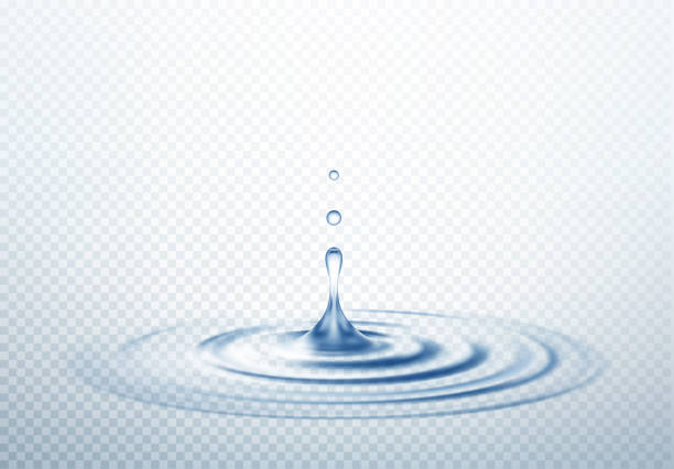 ilustrações de stock, clip art, desenhos animados e ícones de realistic transparent drop and circle ripples isolated background. vector illustration - water droplets