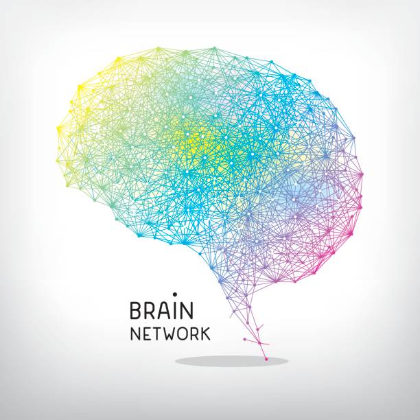 Brain network Editable vector illustration on layers.  nerve cell illustrations stock illustrations