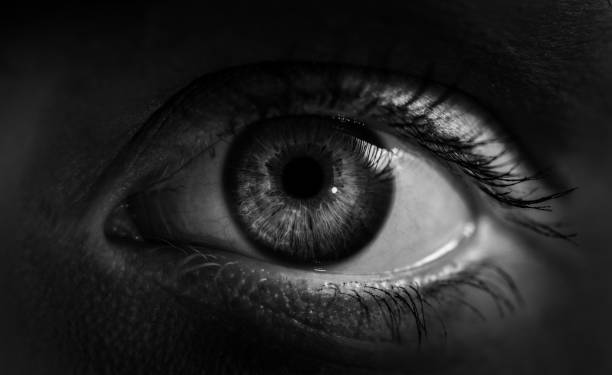 istock Macro shot of human eye. 687550024