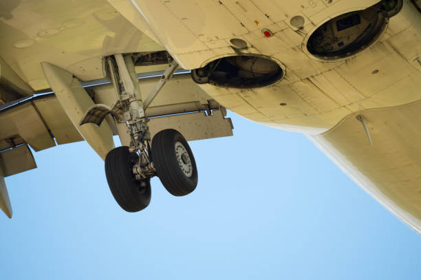istock Close up of plane landing gear 687550286