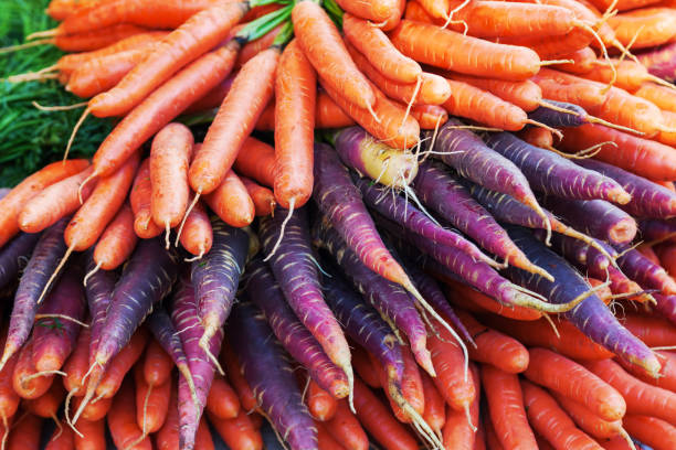 istock pile of different colored carrots 687554200