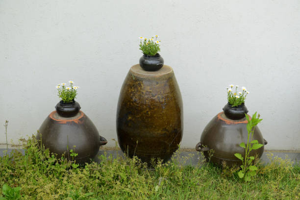 20+ Go Yo Han fotos de stock, imagens e fotos royaltyfree iStock