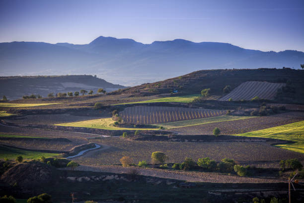 a aldeia de briones e campos. la rioja, espanha - house landscaped beauty in nature horizon over land - fotografias e filmes do acervo