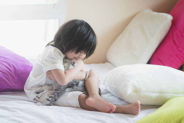 istock Asian baby playing with American Shorthair  kitten 687582256