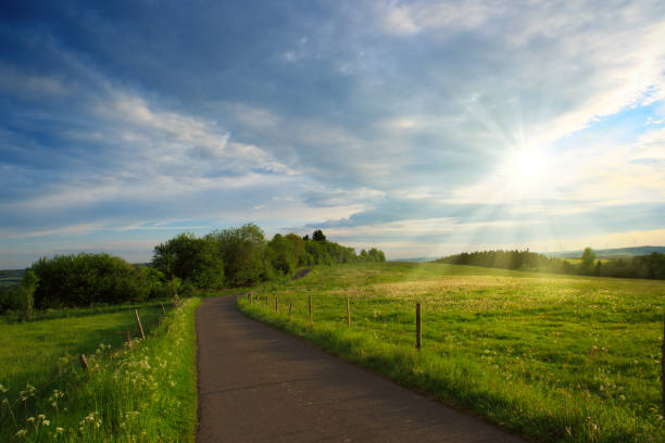 istock Road in field with clouds and sun 687588298