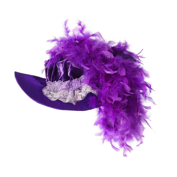 Stylish elegant retro has Stylish fashion elegant retro hat isolated on white background ostrich feather stock pictures, royalty-free photos & images