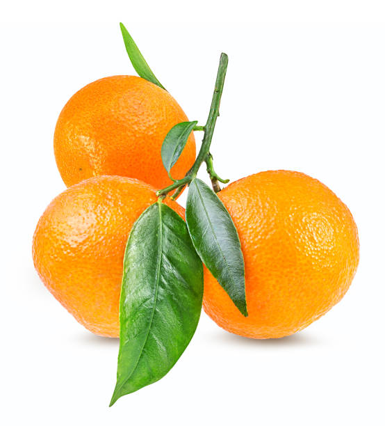 istock tangerine or mandarin fruit isolated on white 687610536
