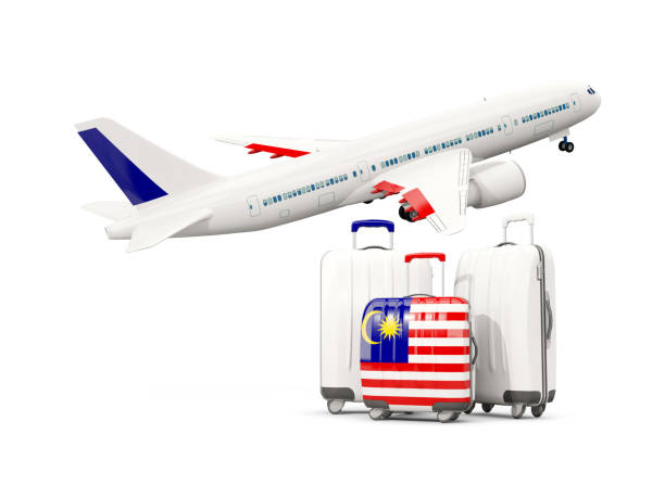 istock Luggage with flag of malaysia. Three bags with airplane 687610960