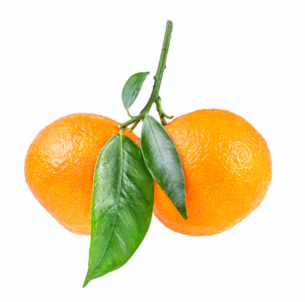 istock tangerine or mandarin fruit isolated on white 687611030