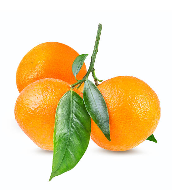 istock tangerine or mandarin fruit isolated on white 687611850