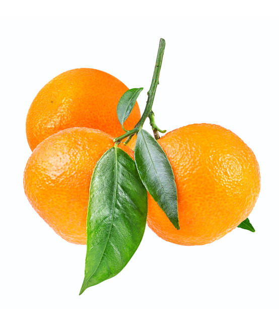 istock tangerine or mandarin fruit isolated on white 687612252