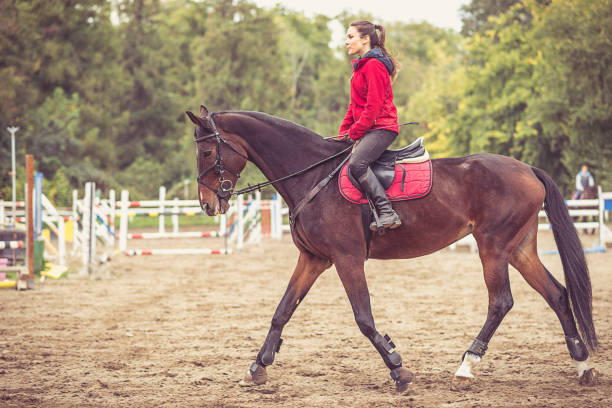 istock Horseback riding in autumn 687612850
