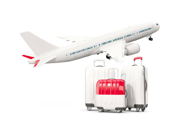 istock Luggage with flag of monaco. Three bags with airplane 687614504