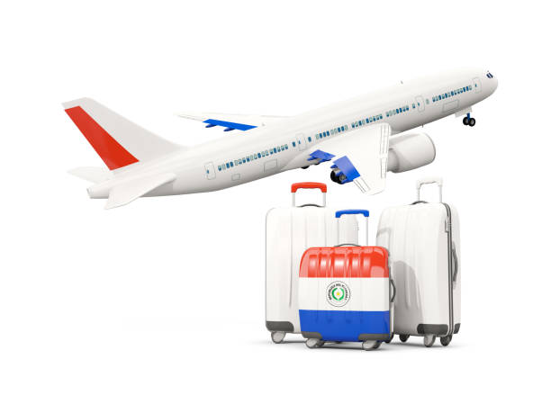 ilustrações de stock, clip art, desenhos animados e ícones de luggage with flag of paraguay. three bags with airplane - suitcase flag national flag isolated on white