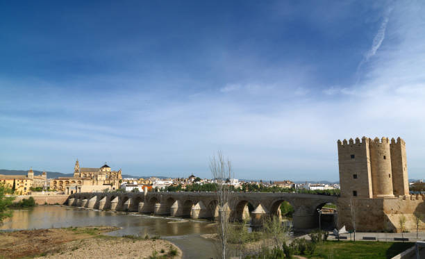 istock Great Mosque and Roman Bridge, Cordoba, Spain 687634958