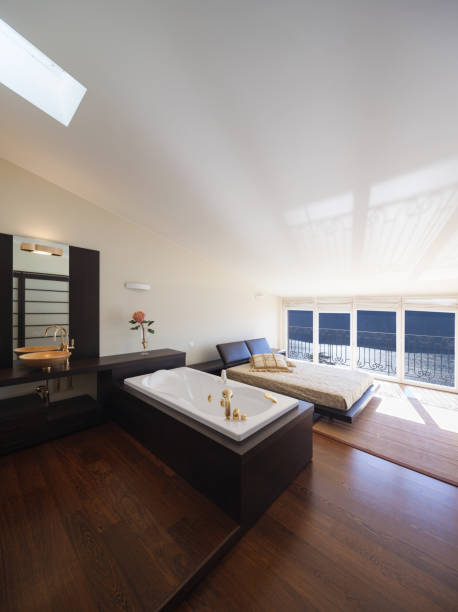 istock Furnished house design, bedroom with bathtub 687640456