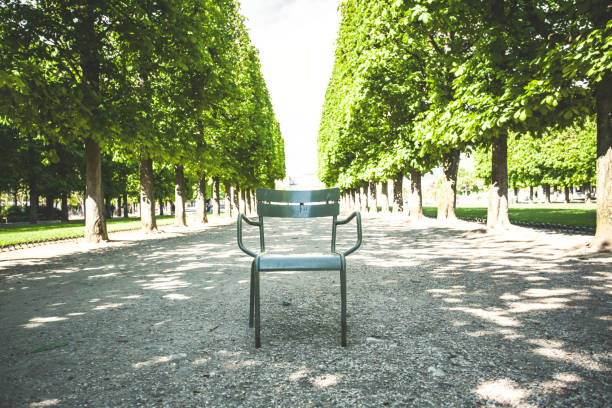 chaise vide en parc avec des arbres de châtaigne - jardin luxembourg photos et images de collection