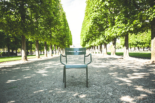 Empty chair in park with chestnut trees