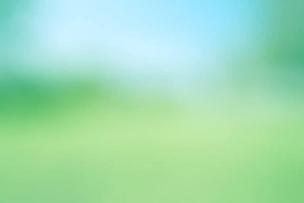 istock abstract blurred background nature green and blue light color beautiful. 687658744