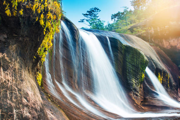 istock Waterfall in jungle, Thailand. 687663424