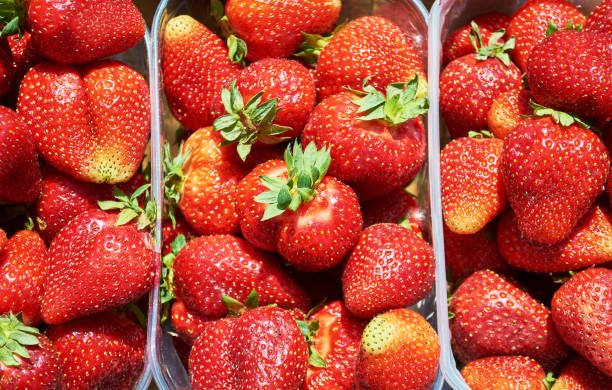 istock Background from freshly harvested strawberries, directly above 687666762