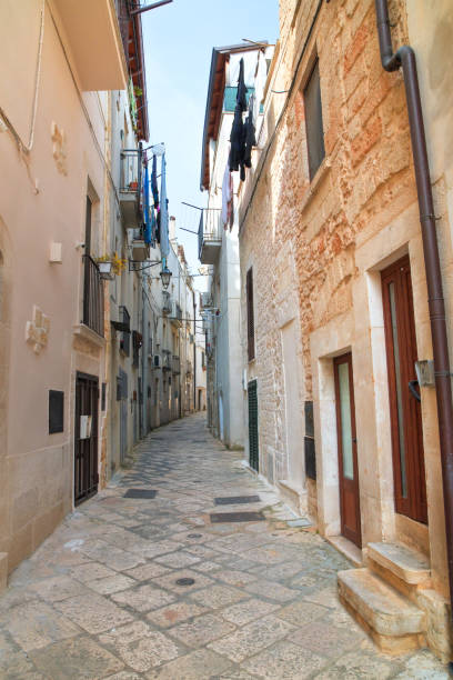istock Alleyway. Conversano. Puglia. Italy. 687667290