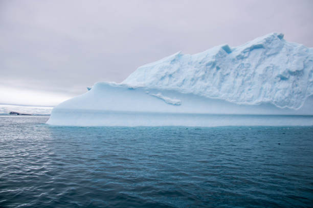 istock Antarctica: Iceberg off of Penguin Island 687667386