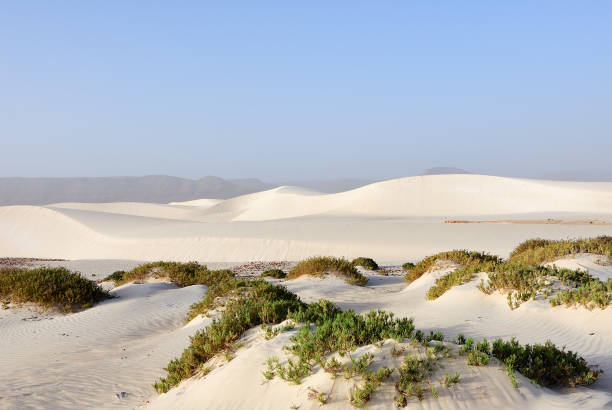 istock Aomak beach, Socotra island, Yemen 687667538