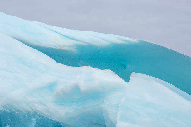 istock Antarctica: Iceberg off of Penguin Island 687670540