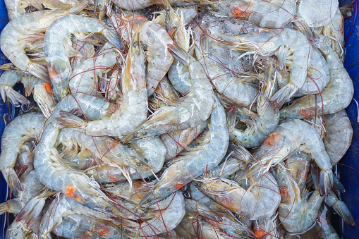Fresh shrimp on ice for sale in wet fresh market, Thailand