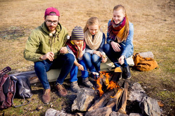 istock Family is on a picnic 687685992