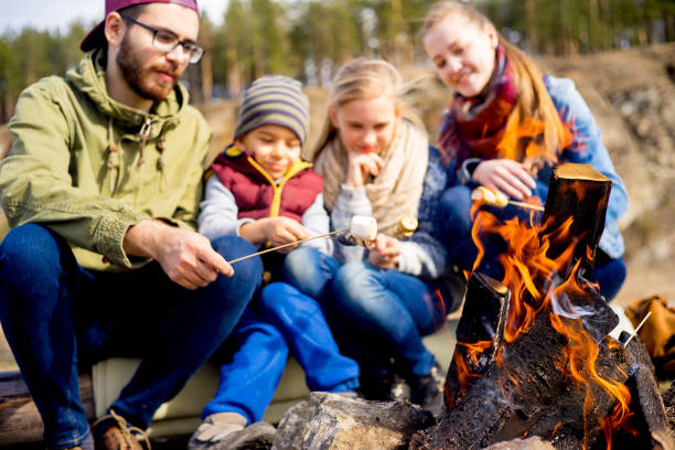 istock Family is on a picnic 687686486