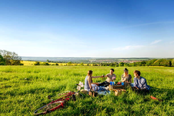 amigos tostado botellas y tener un picnic en el campo - recreational pursuit leisure activity relaxation fun fotografías e imágenes de stock