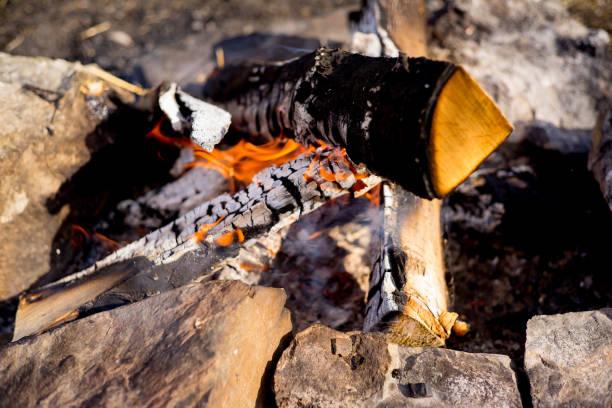 istock Family is on a picnic 687690008
