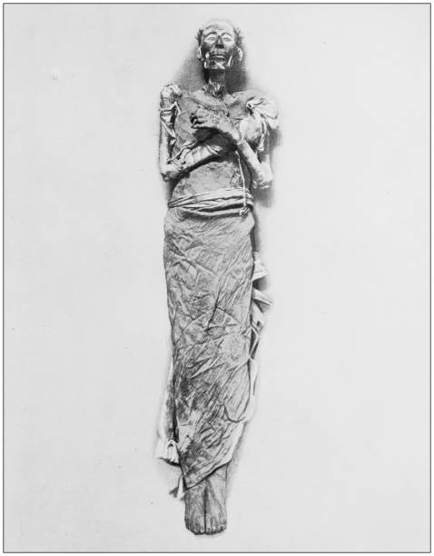 antike fotos von heilige land, ägypten und naher osten: mumie von ramses ii. - ägypten fotos stock-grafiken, -clipart, -cartoons und -symbole