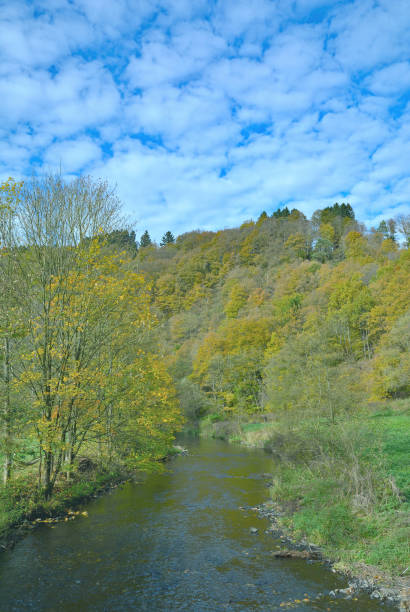 istock Wupper River in Bergisches Land,Germany 687702548