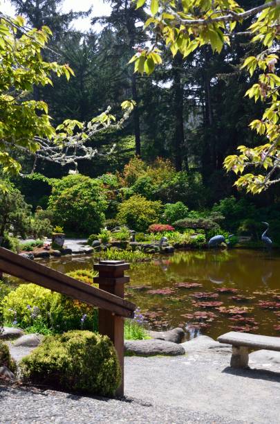 istock Shore Acres State Park, Charleston Oregon 687708862