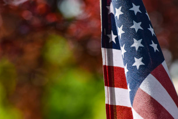 istock American Flag Details 687714798
