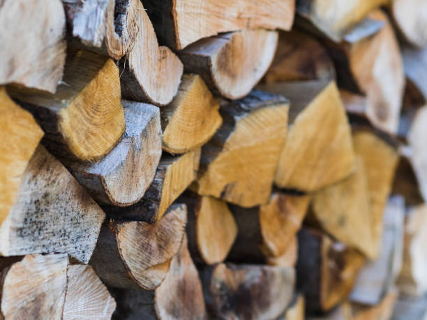 istock Accurately stacked fire wood 687715222