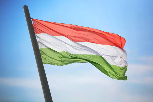 istock Flag of Hungary 687728326