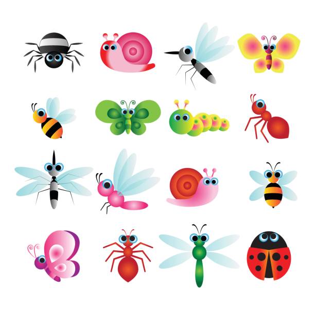 ilustrações, clipart, desenhos animados e ícones de lindo inseto vetor - caterpillar white isolated white background